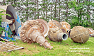 FAST Fiberglass Animals Statues Trademarks Sparta Wisconsin photograph by Jeffrey Sward