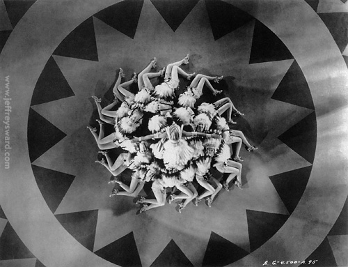 Busby Berkeley Film Still Photograph collected by Jeffrey Sward