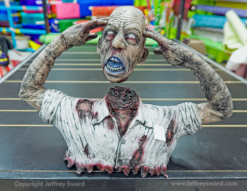 Archie McPhee Retail Store Seattle Washington Photograph by Jeffrey Sward