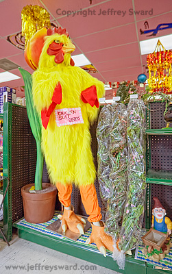 Archie McPhee Retail Store Seattle Washington Photograph by Jeffrey Sward