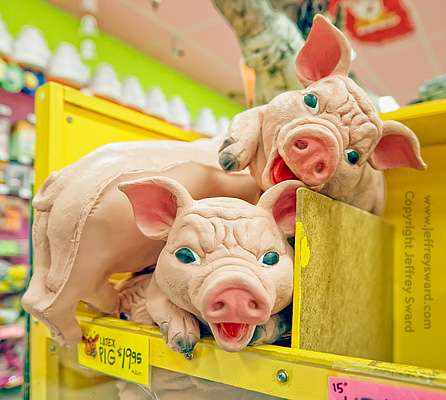 Archie McPhee Retail Store Seattle Washington Photograph by Jeffrey Sward