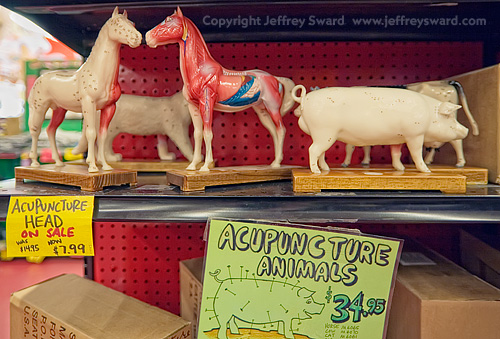 Archie McPhee Retail Store Seattle Washington Photograph by Jeffrey Sward