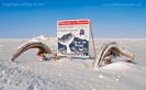 Barrow Alaska Photograph by Jeffrey Sward