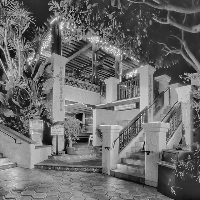 Santa Catalina Island California Photograph by Jeffrey Sward