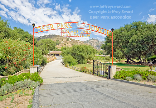 Deer Park Winery and Automobile Museum Escondido California Photograph by Jeffrey Sward