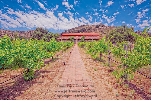 Deer Park Winery and Automobile Museum Escondido California Photograph by Jeffrey Sward