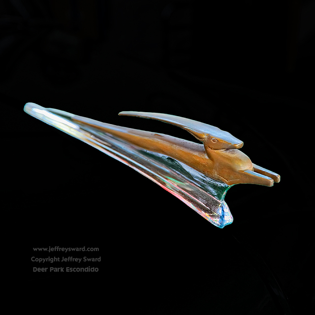 Deer Park Winery and Automobile Museum Escondido California Photograph by Jeffrey Sward