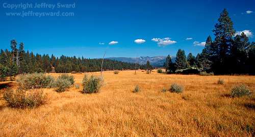 Donner Camp National Historical Landmark Truckee California Photograph by Jeffrey Sward