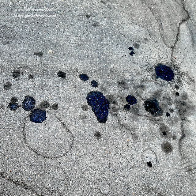 Edsel Owners Club Sacramento, California, August 2015 Photograph by Jeffrey Sward