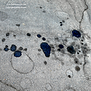 Edsel Owners Club Sacramento California August 2015 photograph by Jeffrey Sward