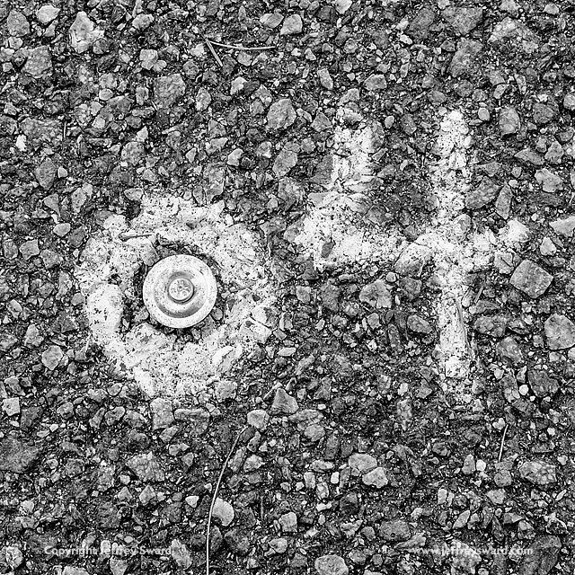 Ephemera Photograph by Jeffrey Sward