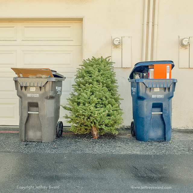 Ephemera Photograph by Jeffrey Sward