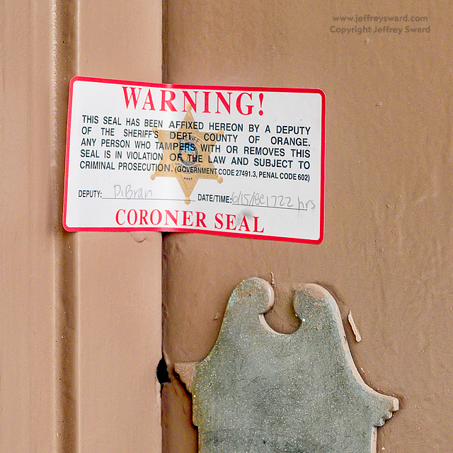 Ephemera Photograph by Jeffrey Sward