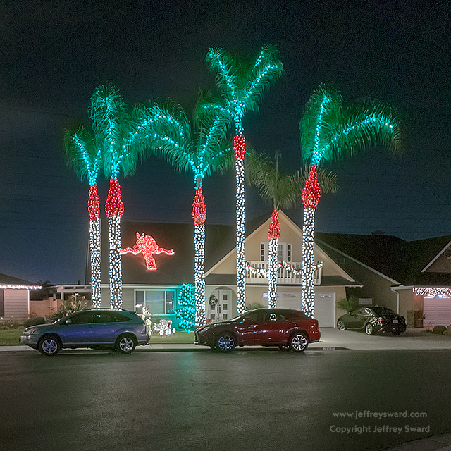 Ephemera Photograph by Jeffrey Sward