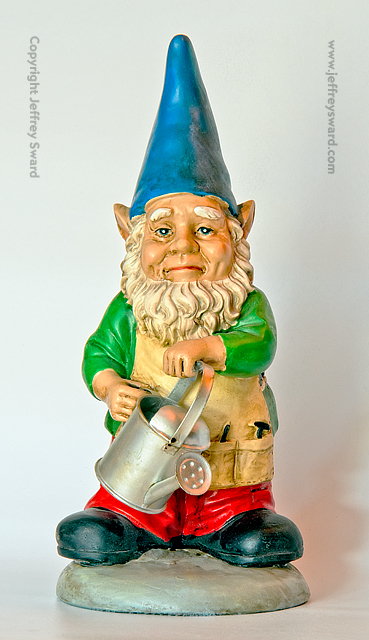 Ephemera Photograph by Jeffrey Sward