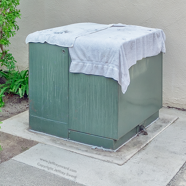 Ephemera Photograph by Jeffrey Sward