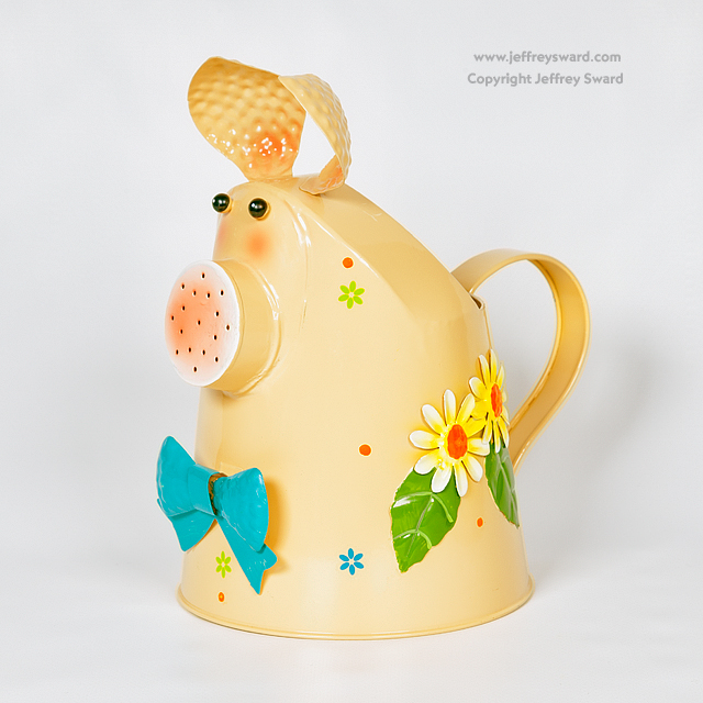 Ephemera Photograph by Jeffrey Sward