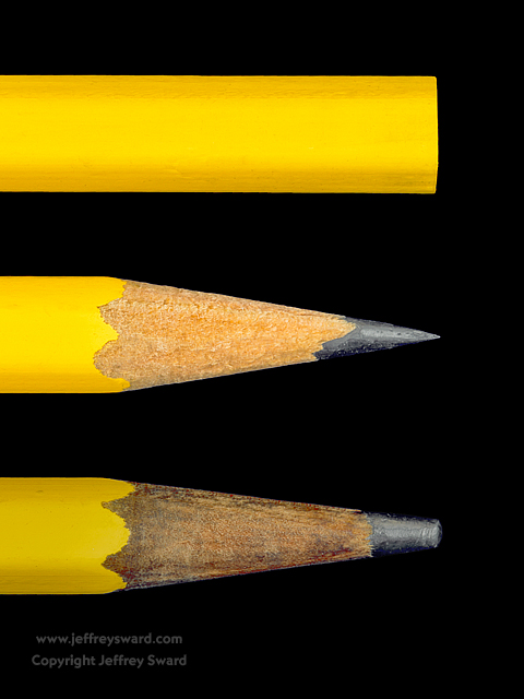 Ephemera Photograph by Jeffrey Sward