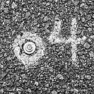 Ephemera photograph by Jeffrey Sward