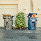 Ephemera photograph by Jeffrey Sward