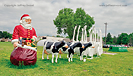 FAST Fiberglass Animals Statues Trademarks Sparta Wisconsin photograph by Jeffrey Sward