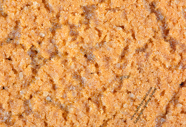 Food Photograph by Jeffrey Sward