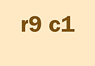 r9c1