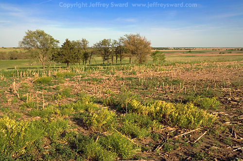 Kansas Photograph by Jeffrey Sward