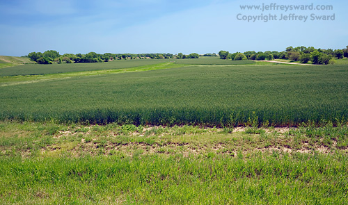 Kansas Photograph by Jeffrey Sward