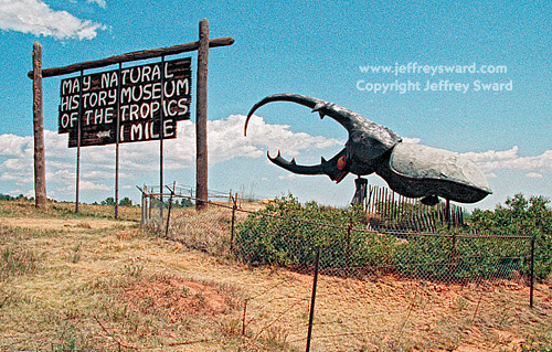 May Natural History Museum Colorado Springs Colorado Photograph by Jeffrey Sward