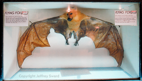 May Natural History Museum Colorado Springs Colorado Photograph by Jeffrey Sward