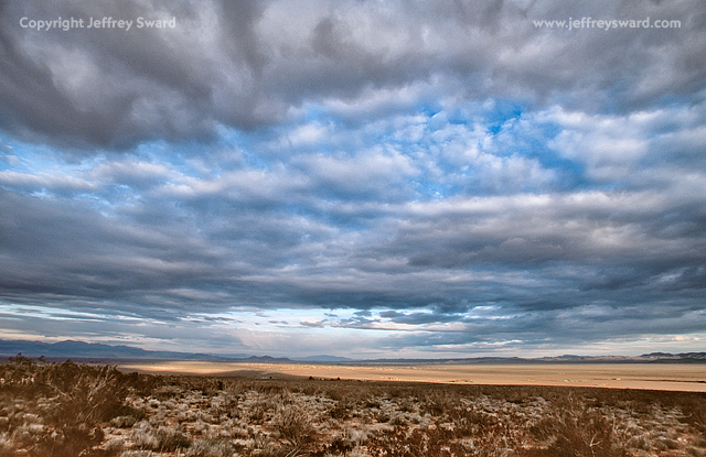 Mojave Desert, Renoville, California Photograph by Jeffrey Sward