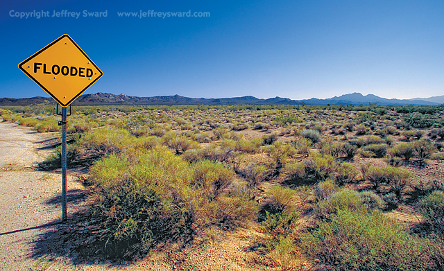Mojave Desert, Renoville, California Photograph by Jeffrey Sward