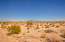 Mojave Desert Renoville California photograph by Jeffrey Sward