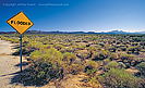 Mojave Desert Renoville California photograph by Jeffrey Sward