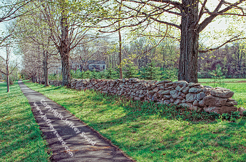 New England Photograph by Jeffrey Sward