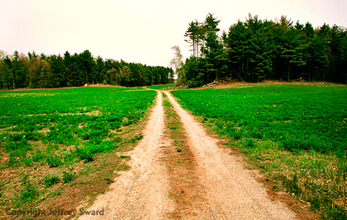 New England Photograph by Jeffrey Sward