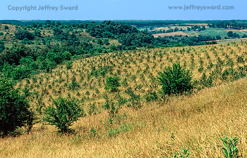 Ohio Photograph by Jeffrey Sward