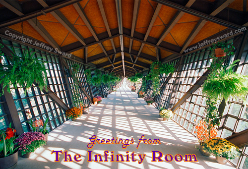 Tbd Photograph by Jeffrey Sward