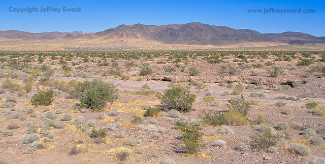 Route 66 California Photograph by Jeffrey Sward