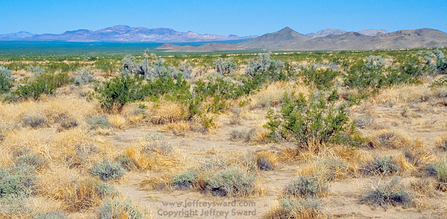 Route 66 California Photograph by Jeffrey Sward