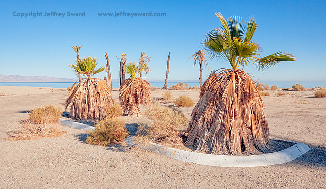 Salton Sea, Mecca, California Photograph by Jeffrey Sward