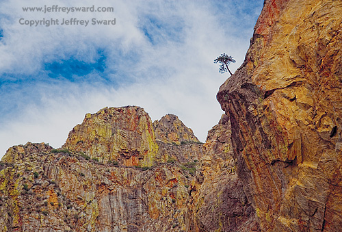 Sequoia National Park Photograph by Jeffrey Sward