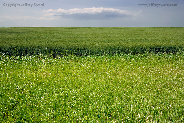 Kansas Field Simplicity Photograph by Jeffrey Sward