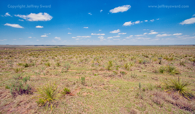 Oklahoma Field Simplicity Photograph by Jeffrey Sward