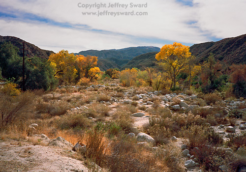 Southern California Photograph by Jeffrey Sward